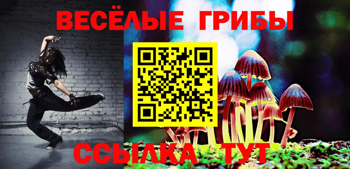 Псилоцибиновые грибы MAGIC MUSHROOMS Балашиха