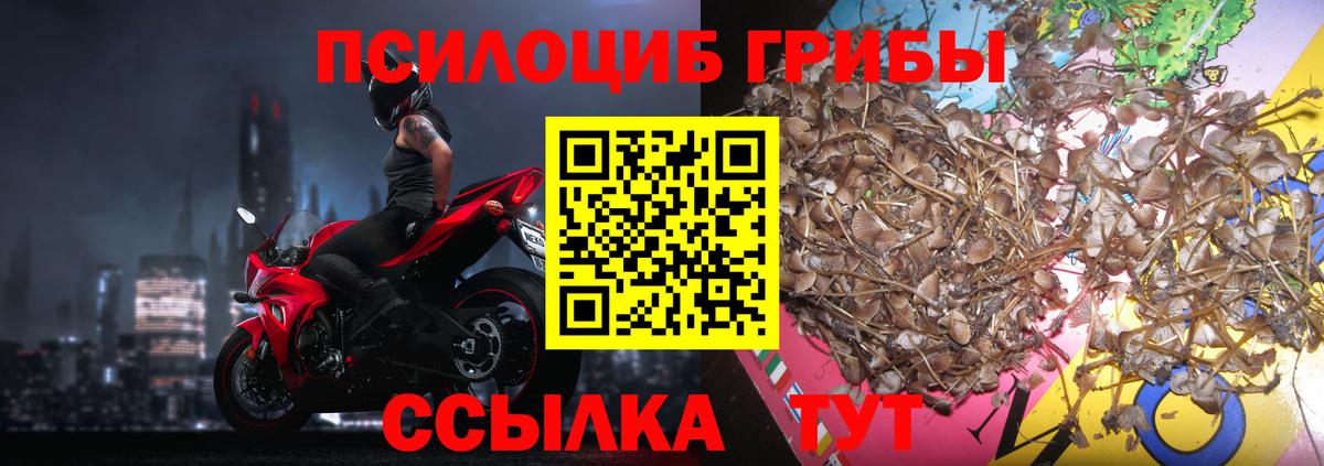 Галлюциногенные грибы Magic Shrooms  Вход с VPN  Балашиха 